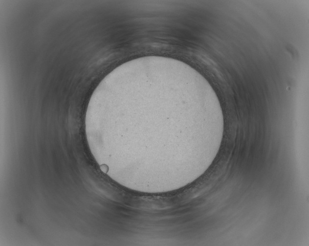 X0000111430367200908241126