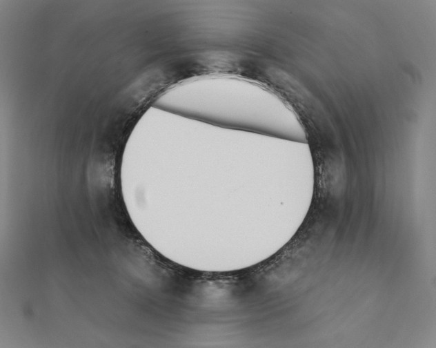 X0000111430368200908241126