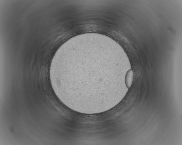 X0000111430369200908241126