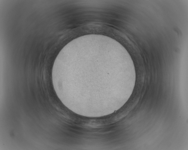 X0000111430371200908241126