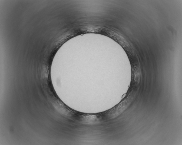 X0000111430374200908241126
