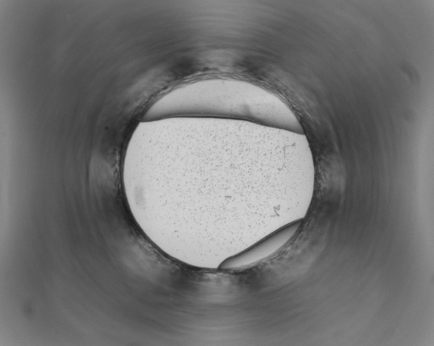 X0000111430376200908241127