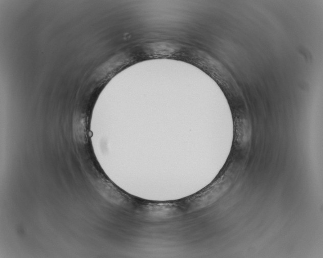 X0000111430378200908241127