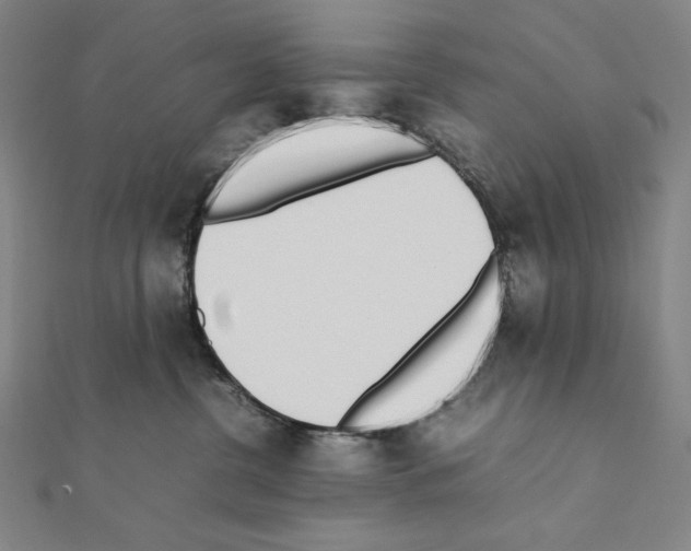 X0000111430380200908241127