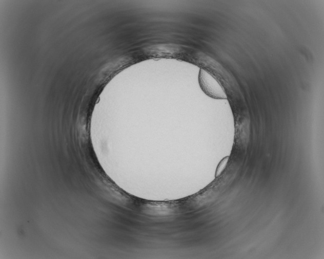X0000111430381200908241127