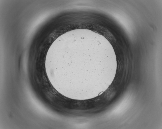 X0000111430383200908241127
