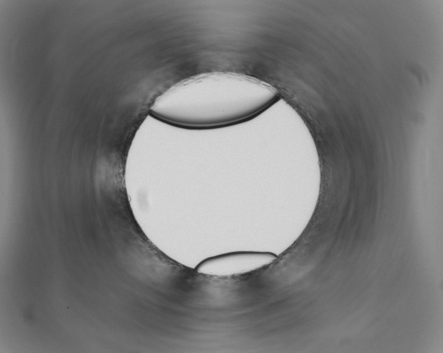 X0000111430384200908241127