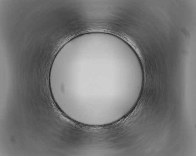 X0000111430385200908241126
