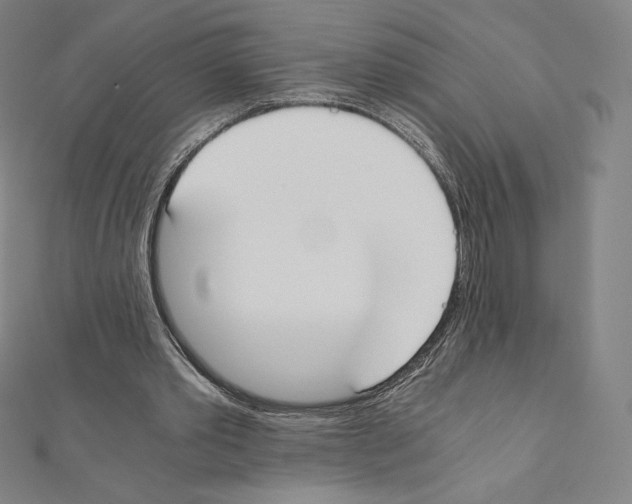 X0000111430389200908241126