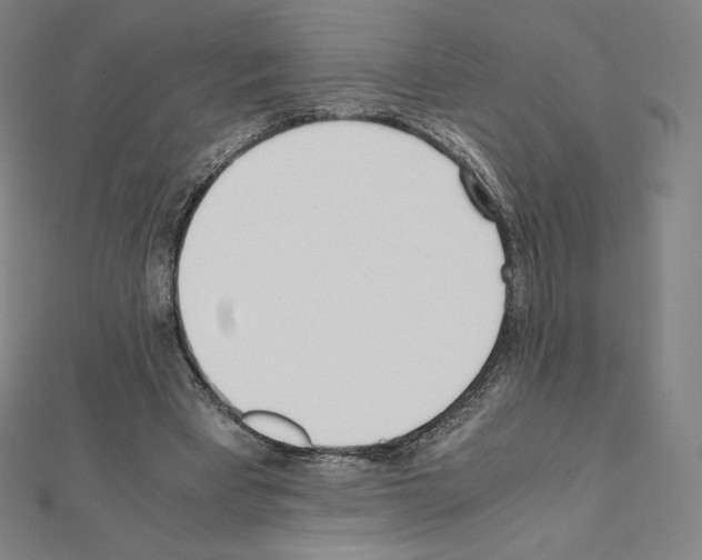 X0000111430393200908241126