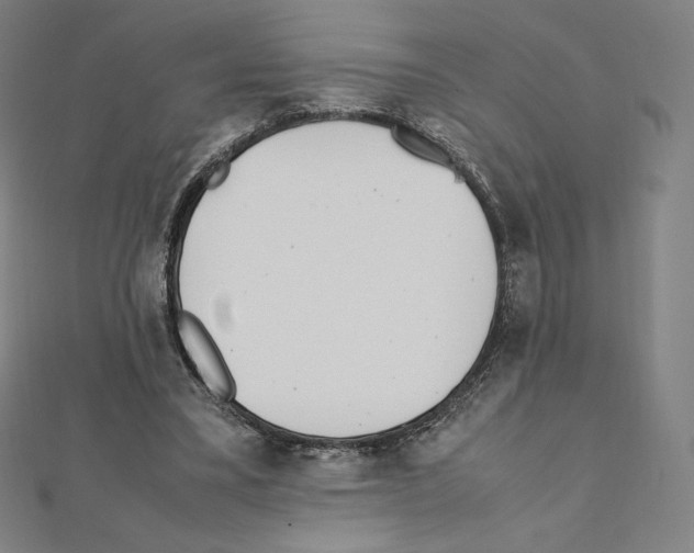 X0000111430395200908241126