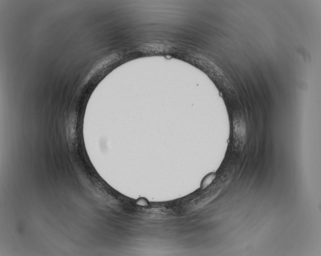 X0000111430396200908241126