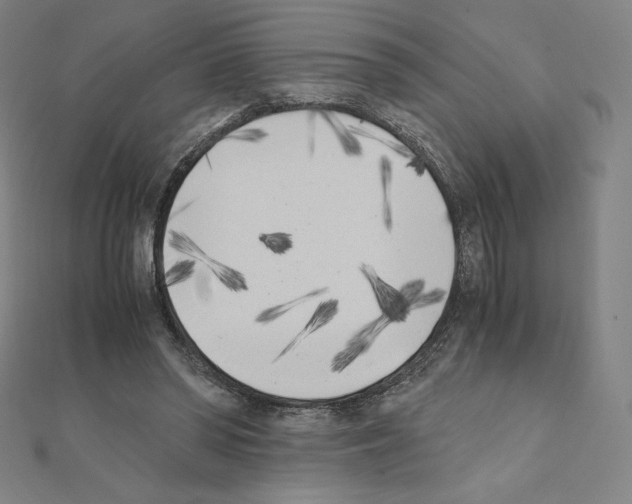 X0000111430398200908241126