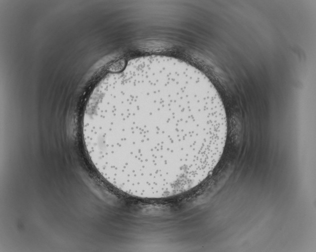 X0000111430400200908241126