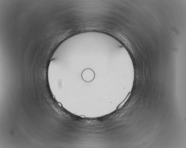 X0000111430401200908241126