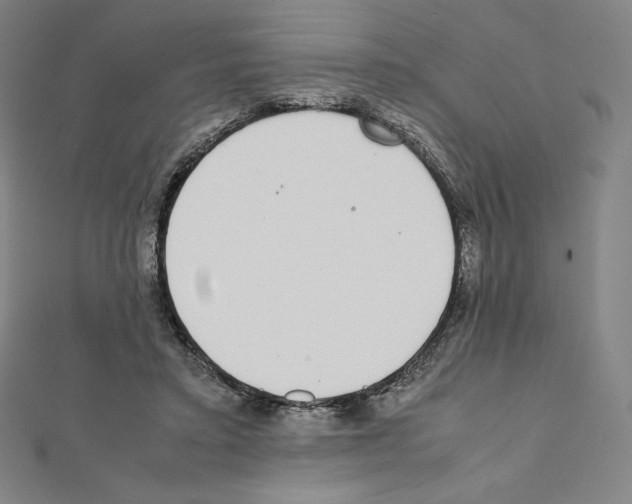 X0000111430403200908241126