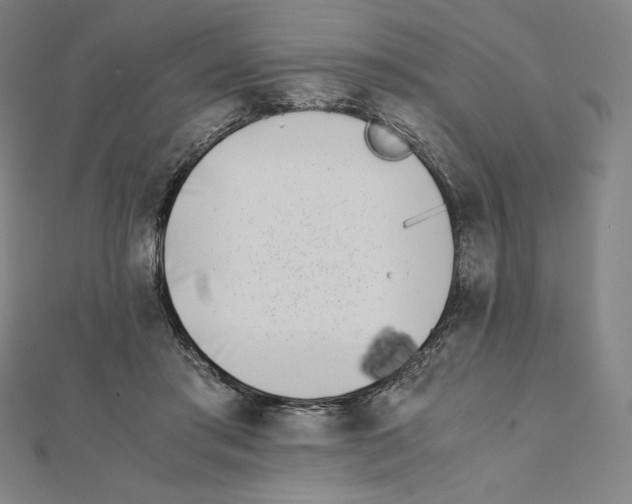 X0000111430405200908241126