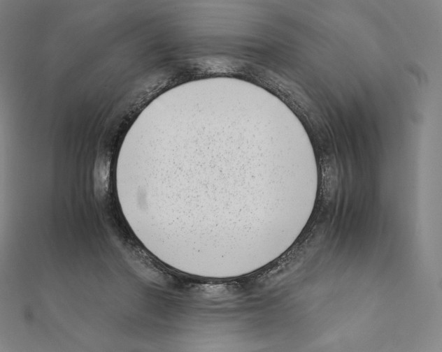 X0000111430406200908241126