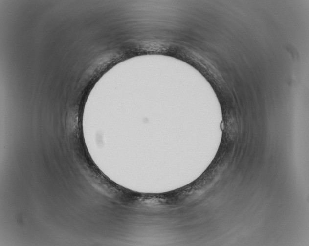 X0000111430407200908241126