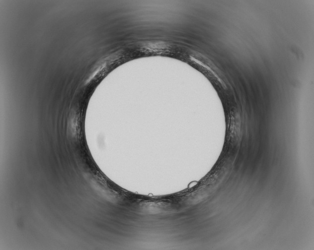 X0000111430408200908241126