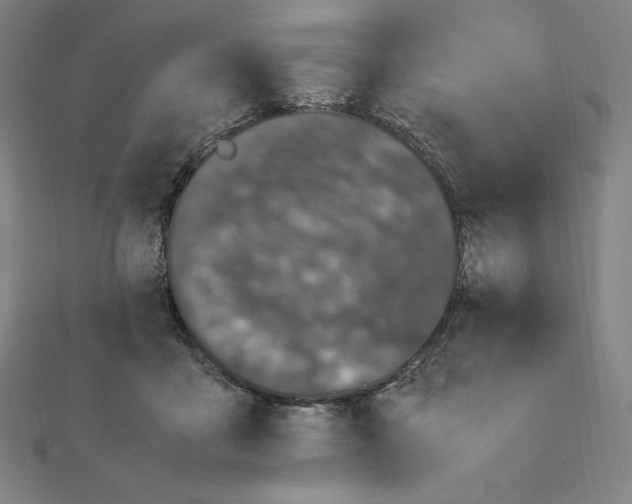 X0000111430411200908241126