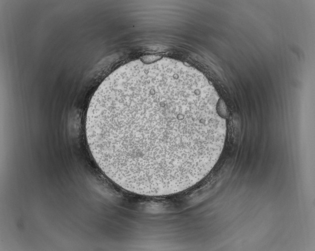 X0000111430412200908241125