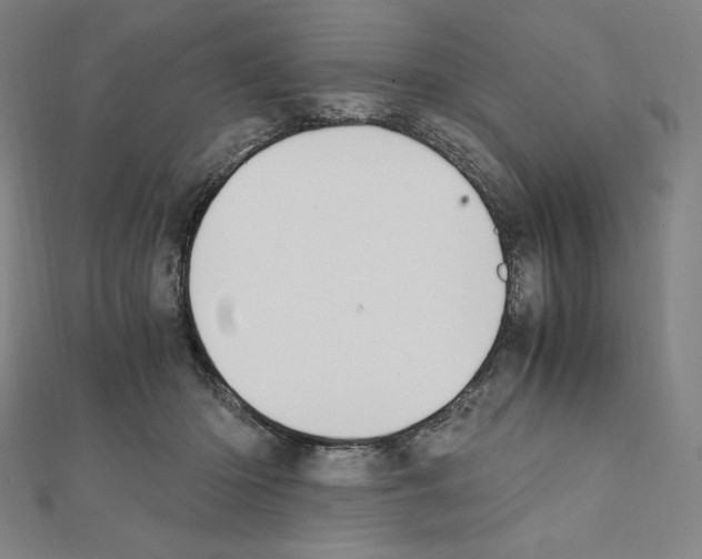 X0000111430414200908241125
