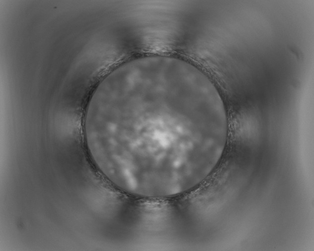 X0000111430415200908241125