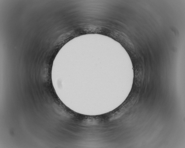 X0000111430416200908241125