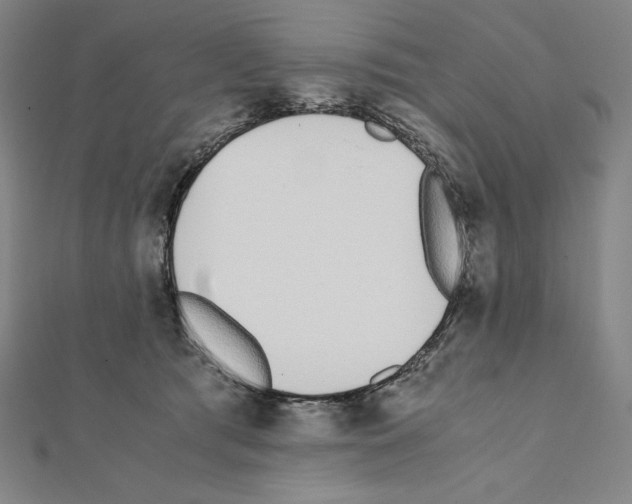 X0000111430417200908241125