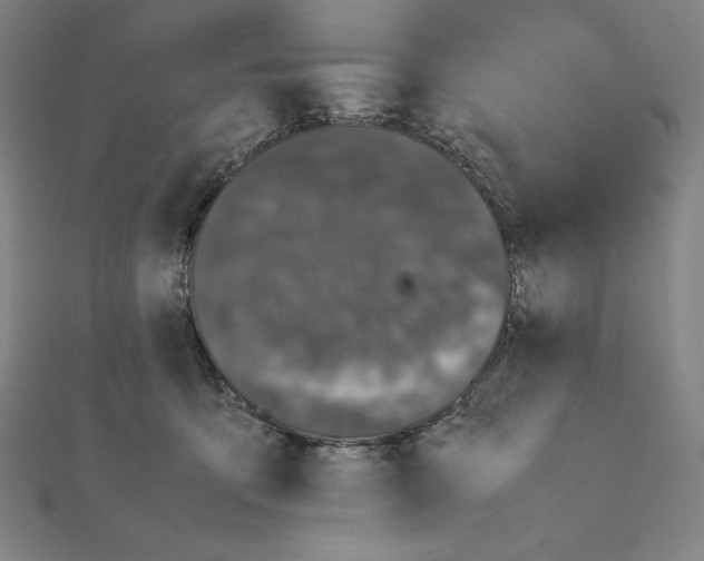 X0000111430419200908241125