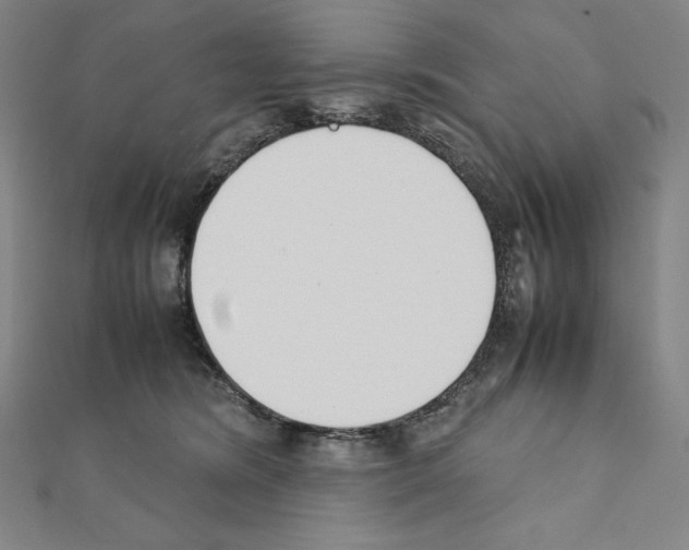 X0000111430420200908241125