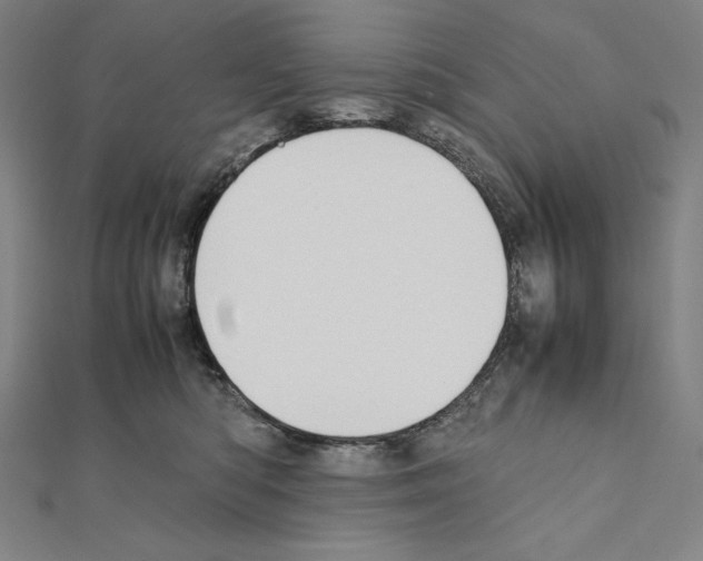 X0000111430422200908241125
