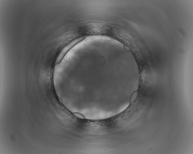 X0000111430423200908241125
