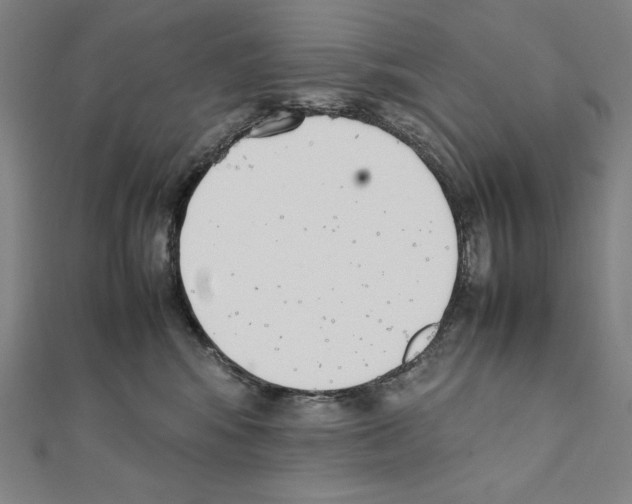 X0000111430424200908241125