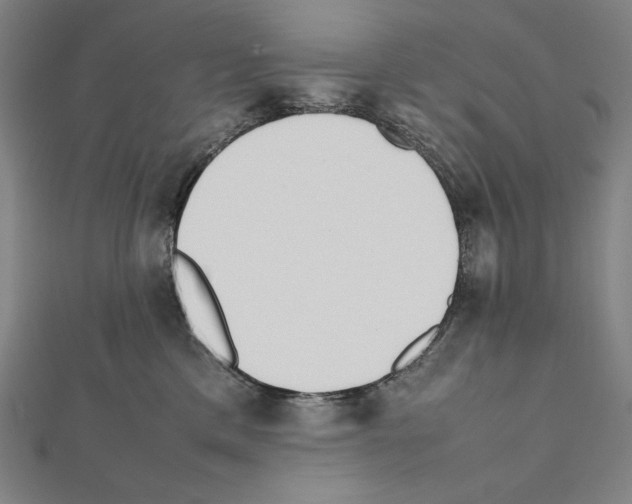 X0000111430425200908241125