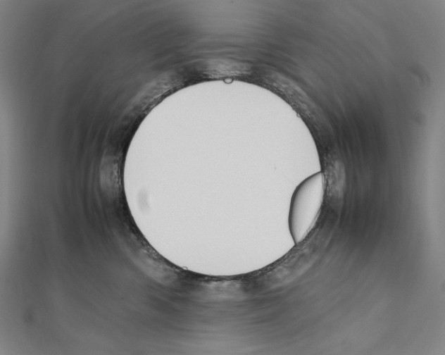 X0000111430426200908241125