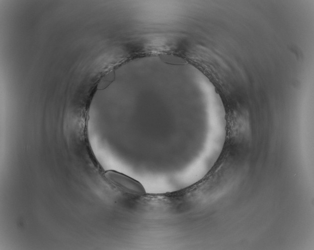X0000111430427200908241125