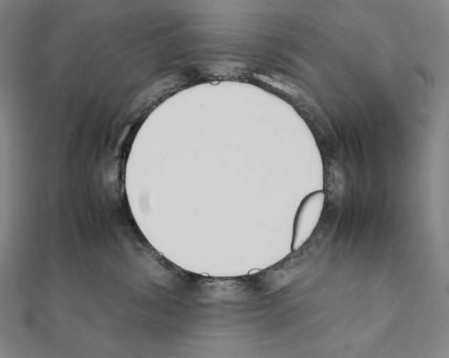 X0000111430428200908241125