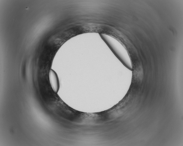 X0000111430429200908241125