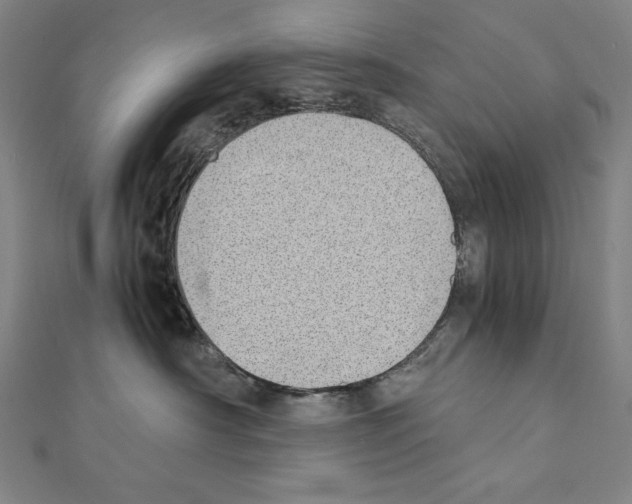 X0000111430430200908241125