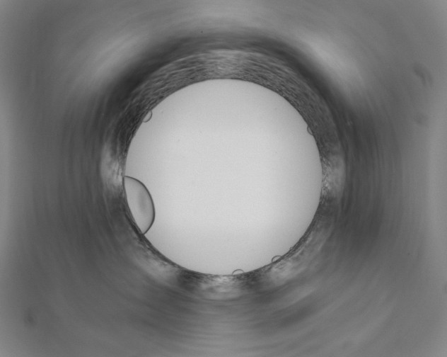 X0000111430431200908241125