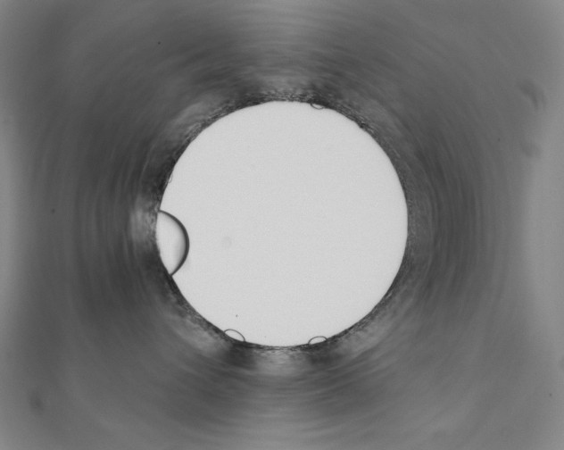X0000111430432200908241125
