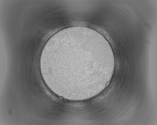 X0000111430433200908241124