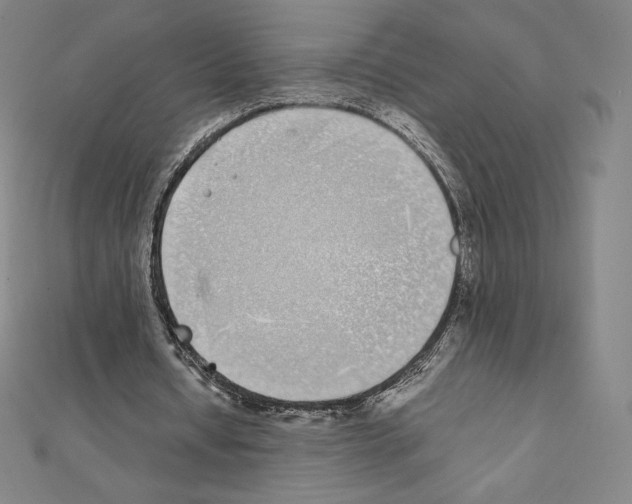 X0000111430434200908241124