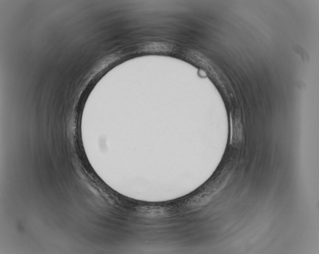 X0000111430435200908241124