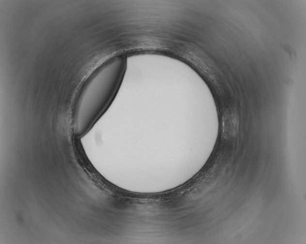 X0000111430436200908241124