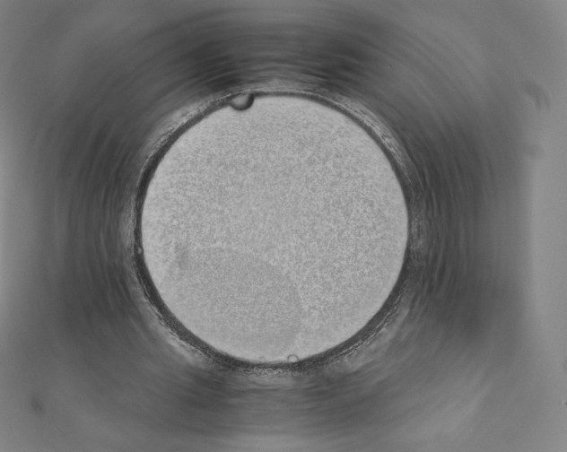 X0000111430437200908241124
