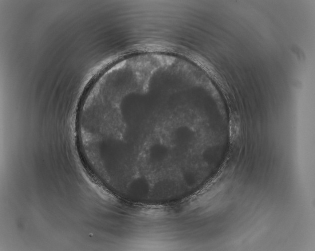 X0000111430438200908241124
