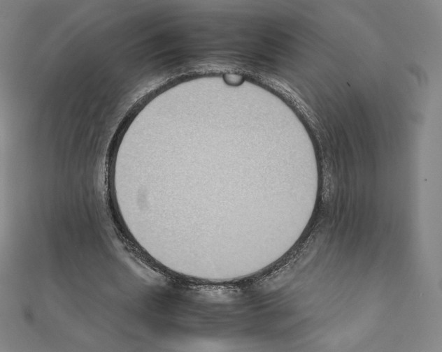 X0000111430439200908241124
